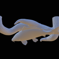 carp underwater statue on the wall - Thumbnail 14
