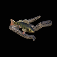 perch underwater statue on the wall - Thumbnail 1