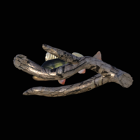 perch underwater statue on the wall - Thumbnail 3