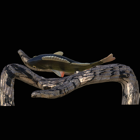 perch underwater statue on the wall - Thumbnail 5