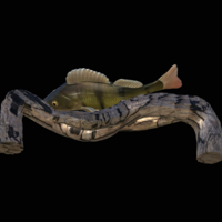 perch underwater statue on the wall - Thumbnail 6