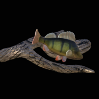 perch underwater statue on the wall - Thumbnail 8
