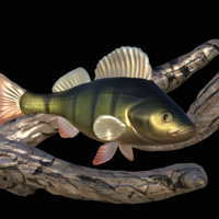 perch underwater statue on the wall - Thumbnail 9