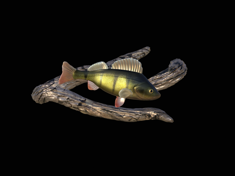 perch underwater statue on the wall