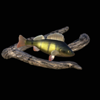 perch underwater statue on the wall - Thumbnail 15