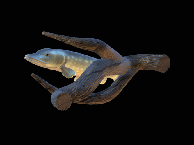 pike underwater statue on the wall 3D Print 517223