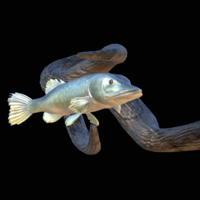 pike underwater statue on the wall - Thumbnail 4