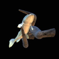 pike underwater statue on the wall - Thumbnail 5