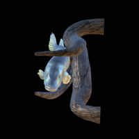 pike underwater statue on the wall - Thumbnail 6