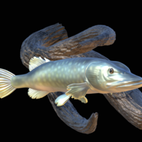 pike underwater statue on the wall - Thumbnail 7