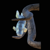 pike underwater statue on the wall - Thumbnail 13