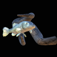 pike underwater statue on the wall - Thumbnail 14