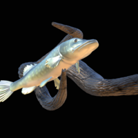 pike underwater statue on the wall - Thumbnail 15