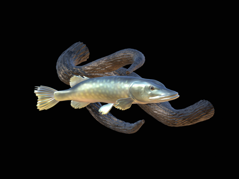 pike underwater statue on the wall