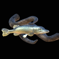 Small pike underwater statue on the wall 3D Printing 517236