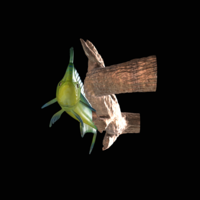 mahi mahi / dorado underwater statue on the wall - Thumbnail 2