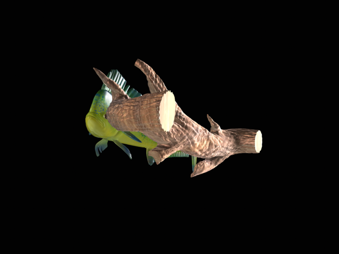 mahi mahi / dorado underwater statue on the wall 3D Print 517239