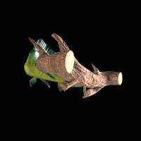 mahi mahi / dorado underwater statue on the wall - Thumbnail 3