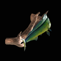 mahi mahi / dorado underwater statue on the wall - Thumbnail 4