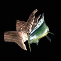 mahi mahi / dorado underwater statue on the wall - Thumbnail 6