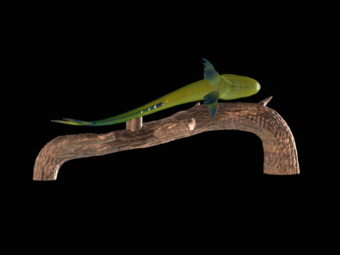 mahi mahi / dorado underwater statue on the wall 3D Print 517248