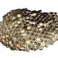 Small Paper Wasp Nest 3D Printing 51725