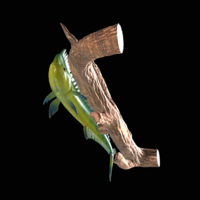 mahi mahi / dorado underwater statue on the wall - Thumbnail 14