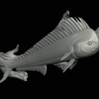 mahi mahi / dorado underwater statue on the wall - Thumbnail 15