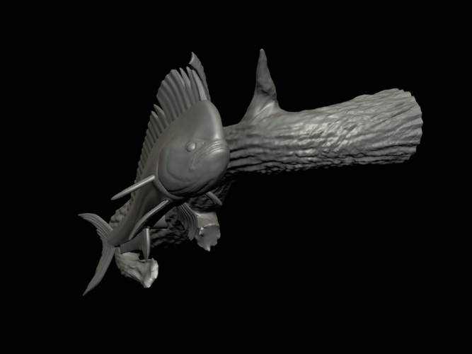 mahi mahi / dorado underwater statue on the wall 3D Print 517252