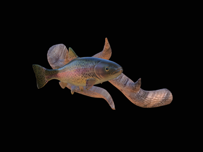 rainbow trout underwater statue on the wall 3D Print 517254