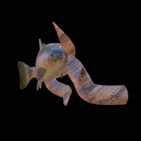 rainbow trout underwater statue on the wall - Thumbnail 2