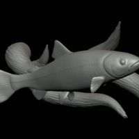 rainbow trout underwater statue on the wall - Thumbnail 13