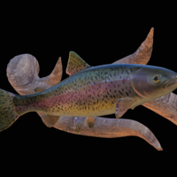 Small rainbow trout underwater statue on the wall 3D Printing 517267