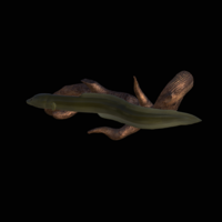 Eel underwater statue on the wall  - Thumbnail 1