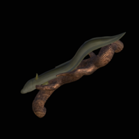Eel underwater statue on the wall  - Thumbnail 2