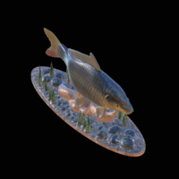  carp 2.0 underwater statue detailed - Thumbnail 3