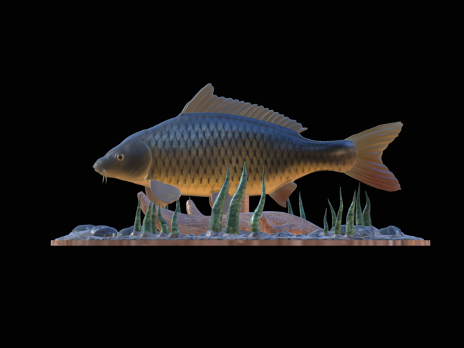  carp 2.0 underwater statue detailed 3D Print 517286