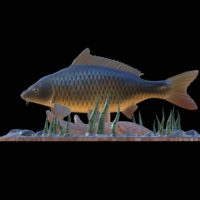  carp 2.0 underwater statue detailed - Thumbnail 7