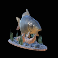  carp 2.0 underwater statue detailed - Thumbnail 8