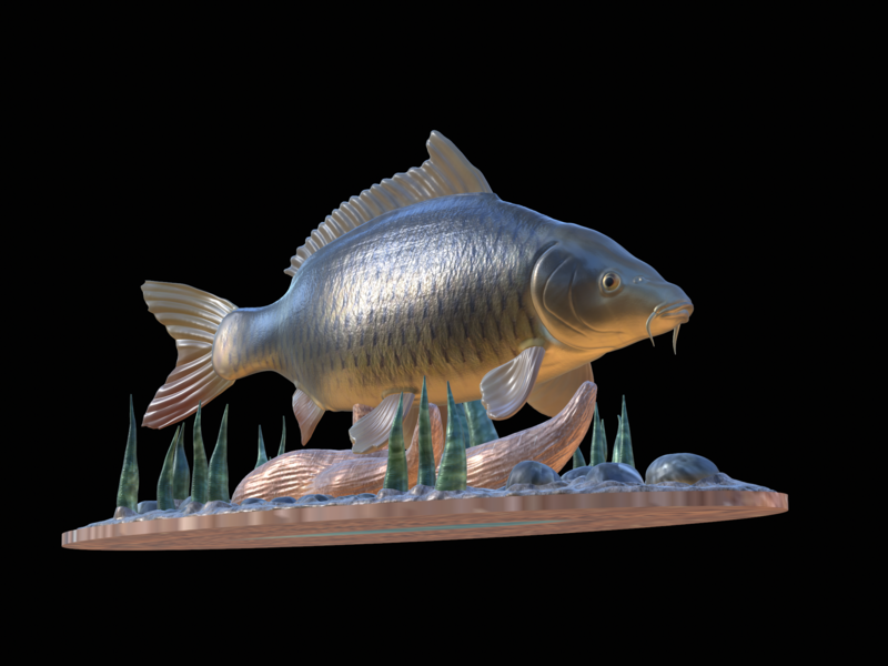  carp 2.0 underwater statue detailed