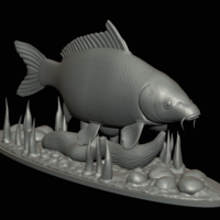  carp 2.0 underwater statue detailed - Thumbnail 16