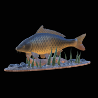  carp 2.0 underwater statue detailed - Thumbnail 17