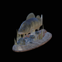 zander 2.0 underwater statue detailed - Thumbnail 1