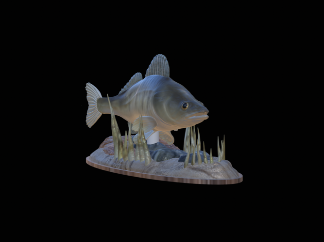 zander 2.0 underwater statue detailed 3D Print 517299