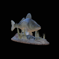 zander 2.0 underwater statue detailed - Thumbnail 3