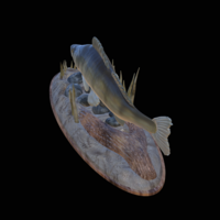 zander 2.0 underwater statue detailed - Thumbnail 6