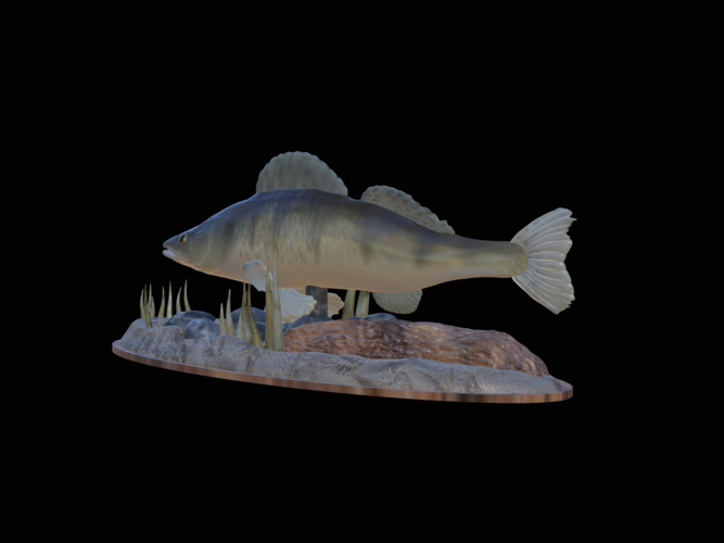 zander 2.0 underwater statue detailed 3D Print 517303