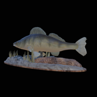 zander 2.0 underwater statue detailed - Thumbnail 7