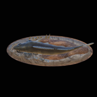 zander 2.0 underwater statue detailed - Thumbnail 8