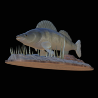 zander 2.0 underwater statue detailed - Thumbnail 9